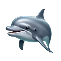 Anuradha Kumari's profile picture