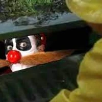 Denys Vasylenko's profile picture